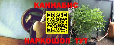 таблы Новозыбков