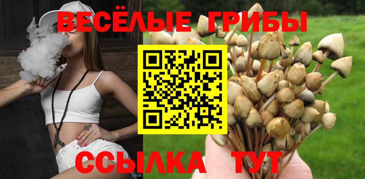 Галлюциногенные грибы GOLDEN TEACHER  Вход с VPN  Топки 